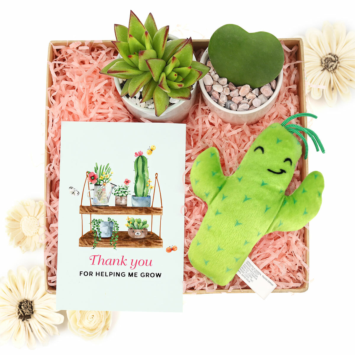 - 2 Succulents And 1 Stuffed Cactus