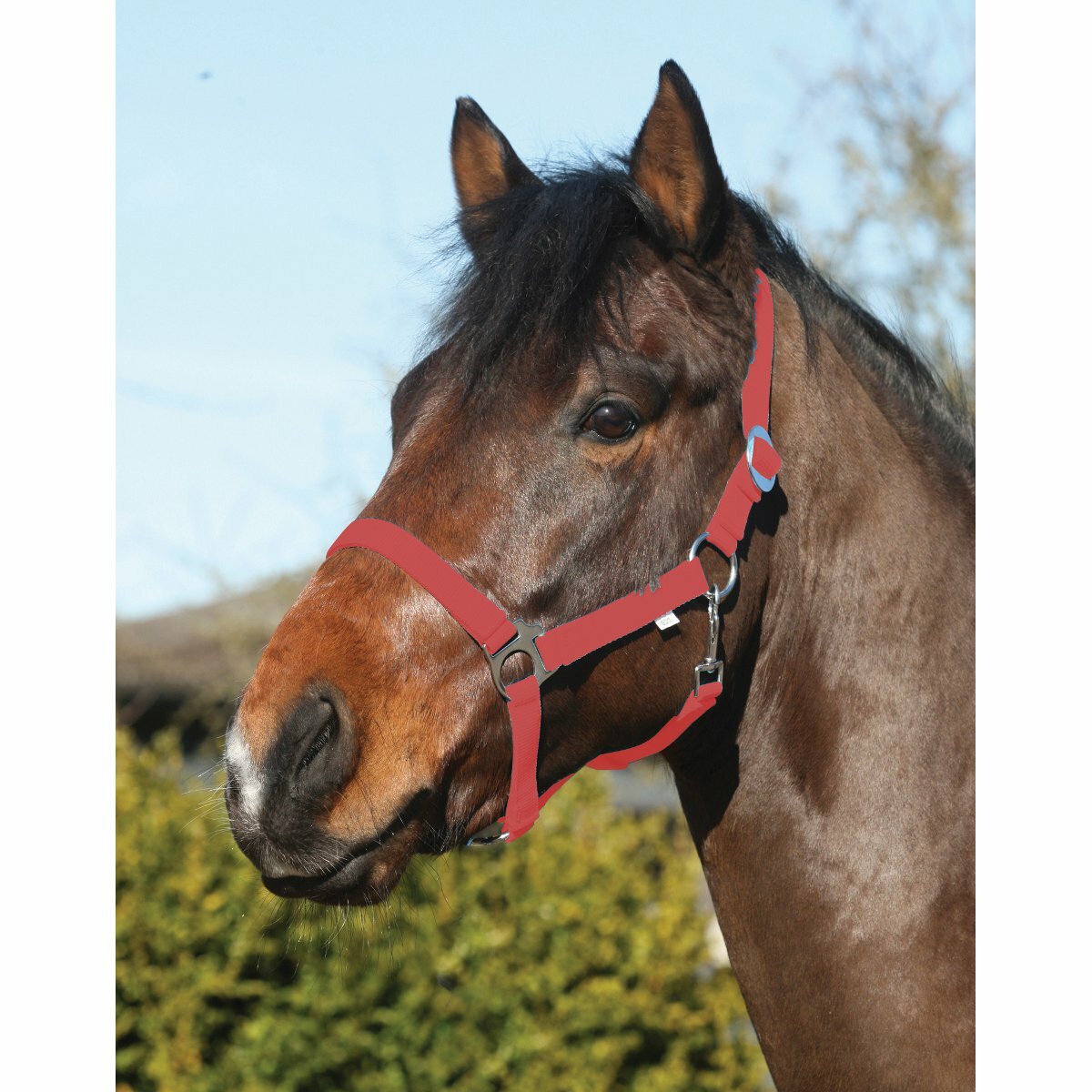 Carrello Guida 307kg Cavalletto Standard Serie 45 INA - Foto 11