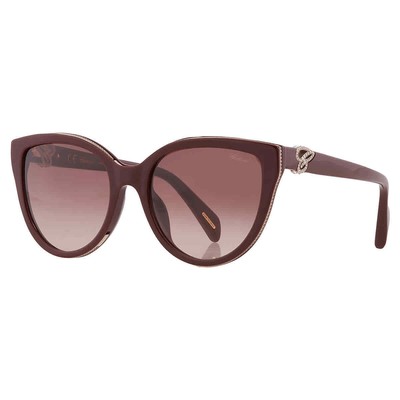 Pre-owned Chopard Brown Gradient Cat Eye Ladies Sunglasses Sch317s 09fh 55 Sch317s 09fh 55