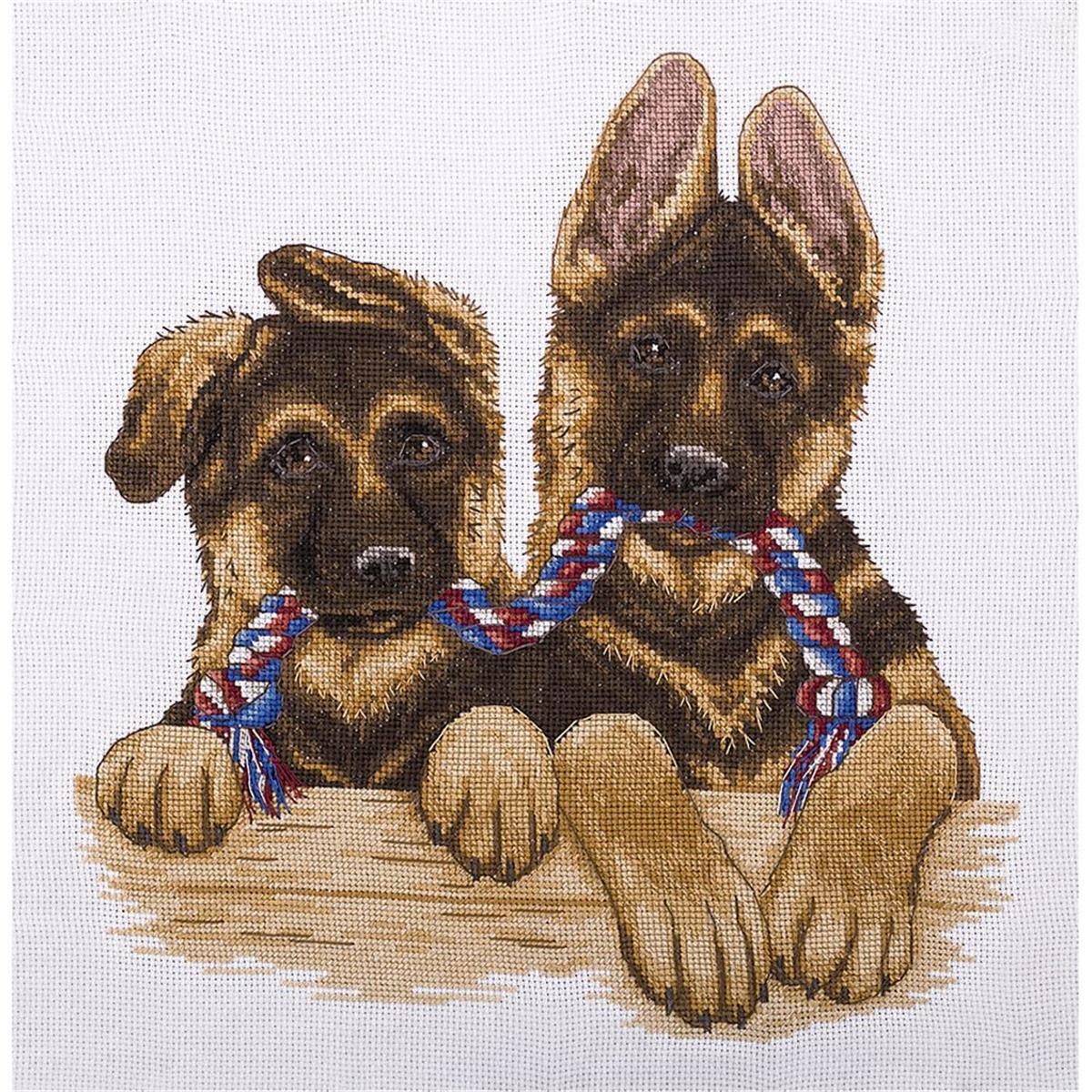 Panna counted cross stitch kit 