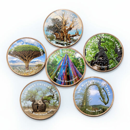 Somaliland 1 shilling, Set of 6 coins: The Most Unusual Trees 2020