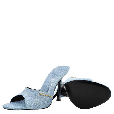 Pre-owned Alexander Wang Logo Plaque Heeled Lucienne 105 Sandals In Purple