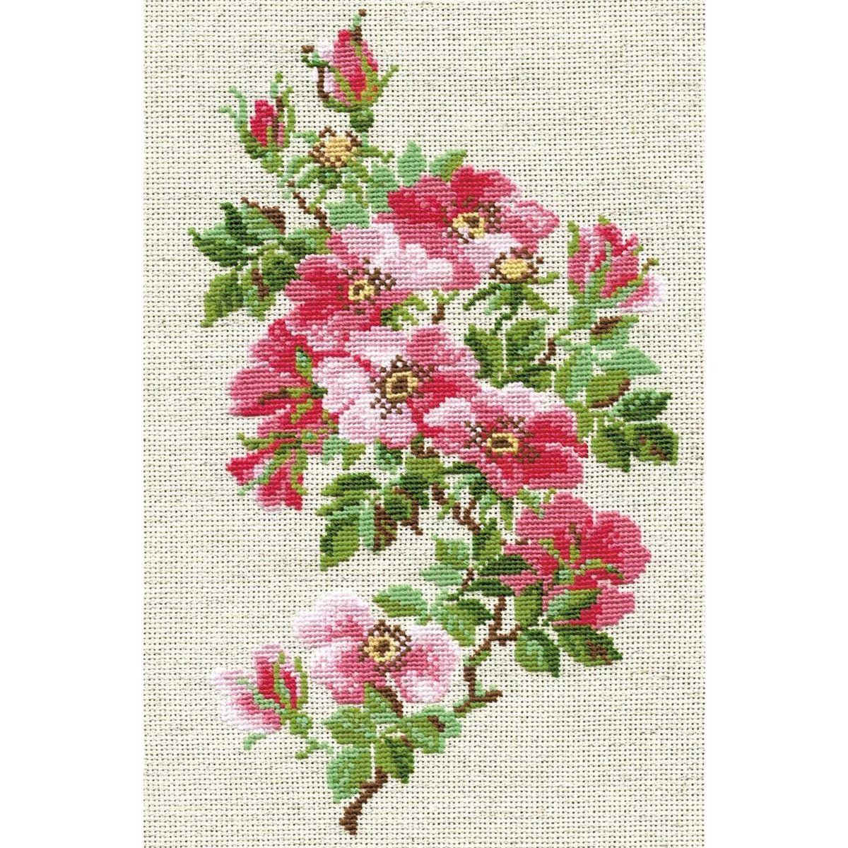 Riolis counted cross stitch Kit May Wild Rose, DIY