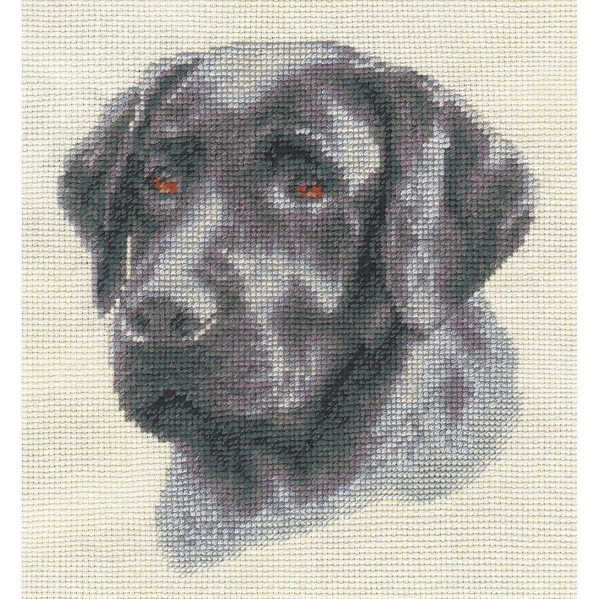 Panna counted cross stitch kit 