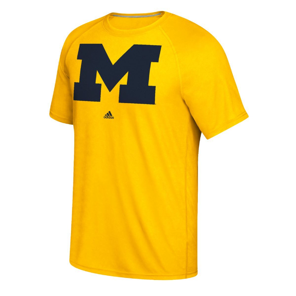 Trey McKenney Team Legend Performance T-Shirt Michigan Wolverines