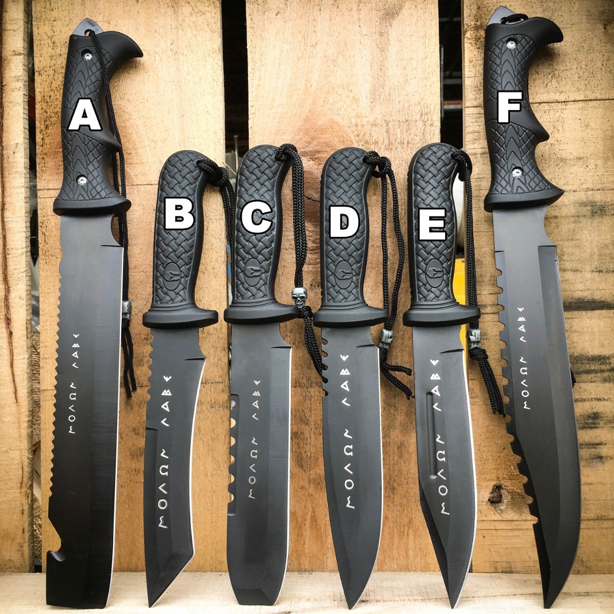 Greek Warrior Hunting Camping Fixed Blade Survival Bowie Tactical Knife + Sheath