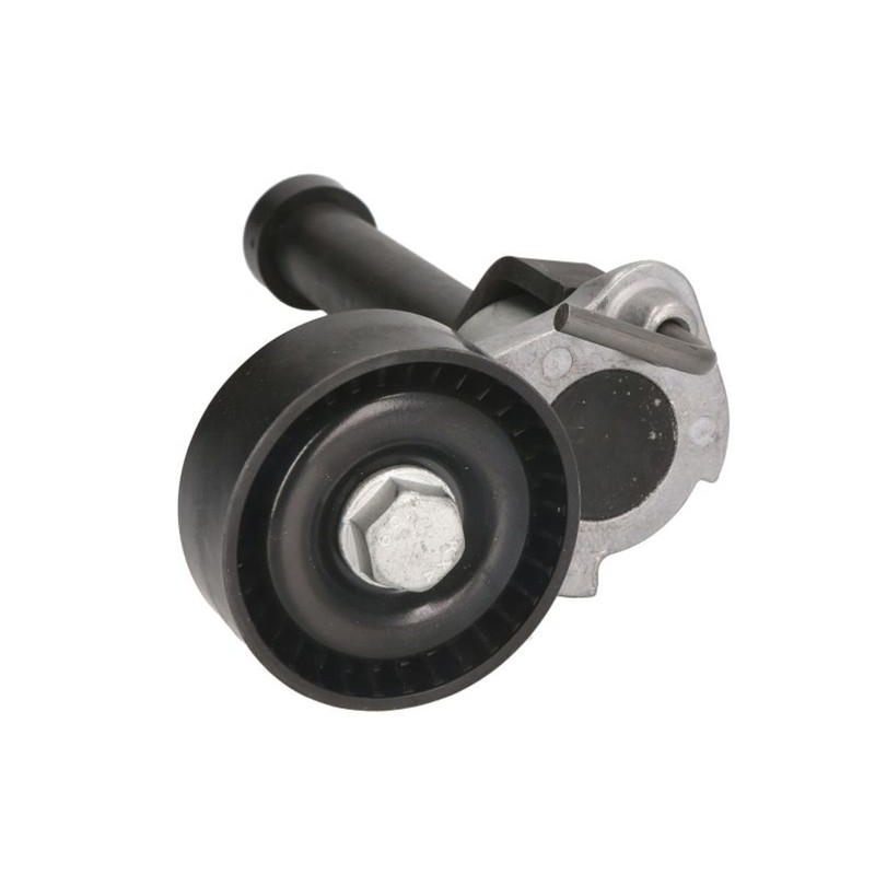 Spannarm, Keilrippenriemen Ina 534 0422 10