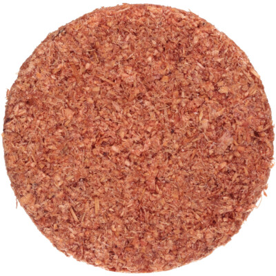 Coghlan's Fire Disc, Fire Starter and Emergency Heat Source, Campfire Fireplace