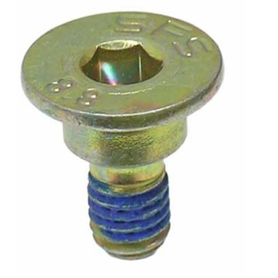 201-421-01-71 EC CRP Brake Disc Screw Front or Rear Driver Passenger Side
