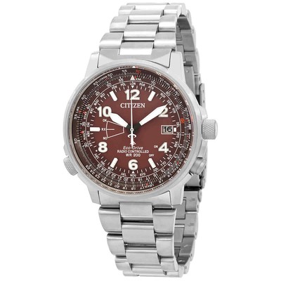 Pre-owned Citizen Perpetual World Time Watch Cb0241-85x