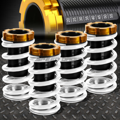 ДЛЯ 88-00 CIVIC, НАПРИМЕР, EK/DC, ОПУСКАЮЩАЯСЯ ПОДВЕСКА С ЧЕРНОЙ ШКАЛОЙ, КОЙЛОВЕР, БЕЛАЯ ПРУЖИНА