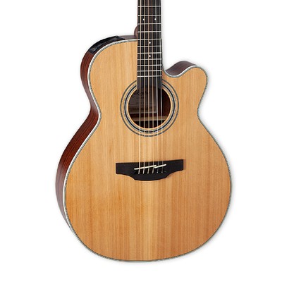 Takamine GN20CE G20 Series NEX Body Acoustic-Electric Guitar, Natural Satin