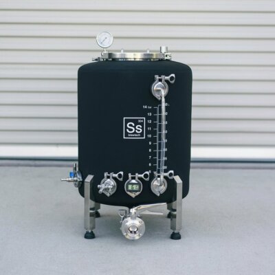 Ss Brewtech 20 Gallon Brewmaster Edition Brite Tank 