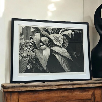 Stephen McMillan 1978 - Lithograph 41 / 120 - Fern