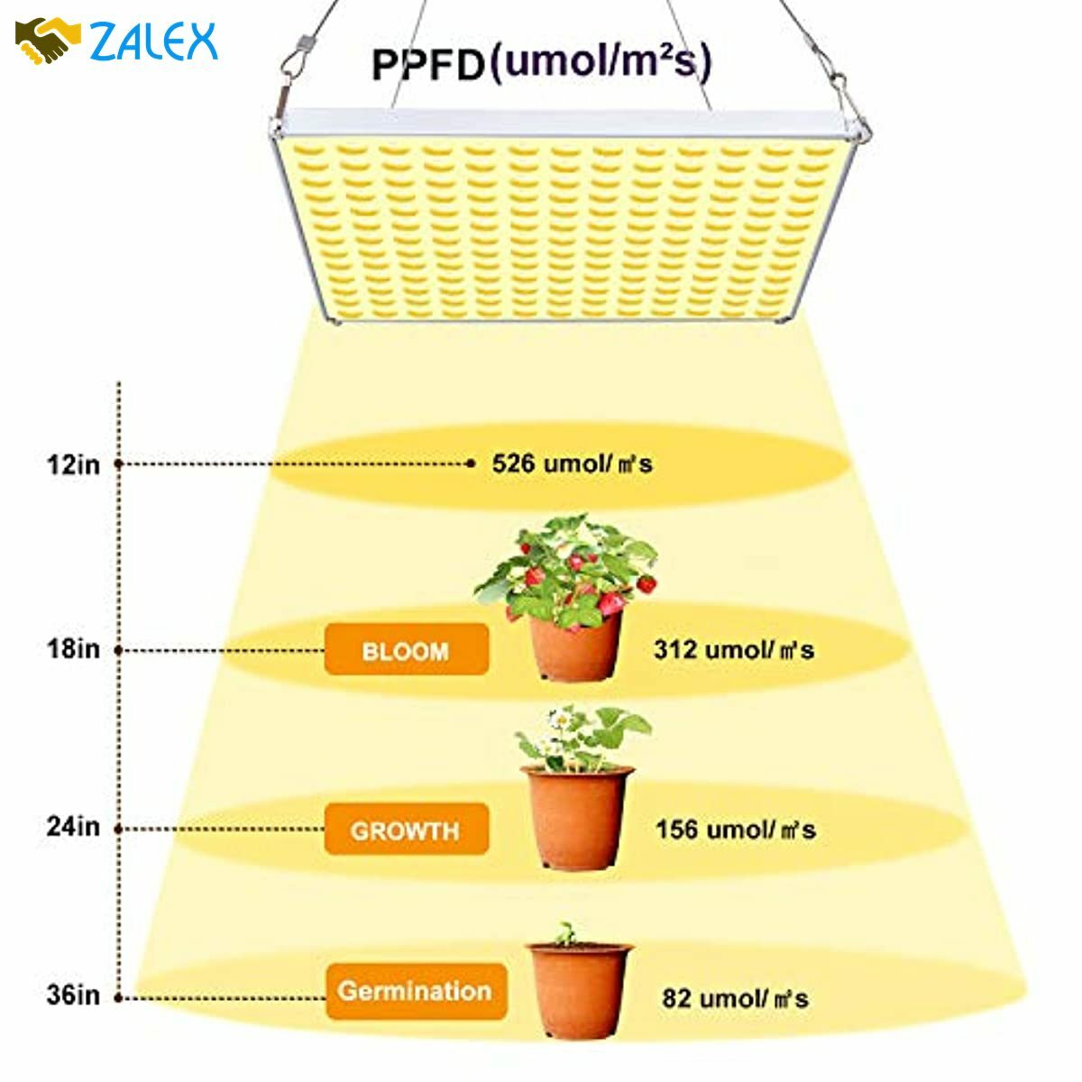 CXhome LED Grow Light, 75W Full Spectrum 3500K Sunlike ...