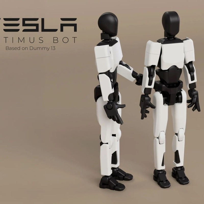 Tesla Humanoid Robot Dummy13 Model Figurine Esla Optimus Black White