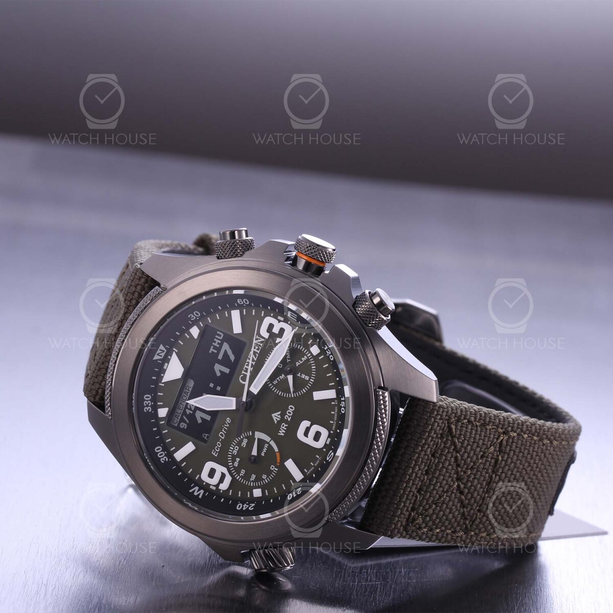 Citizen Promaster Land...