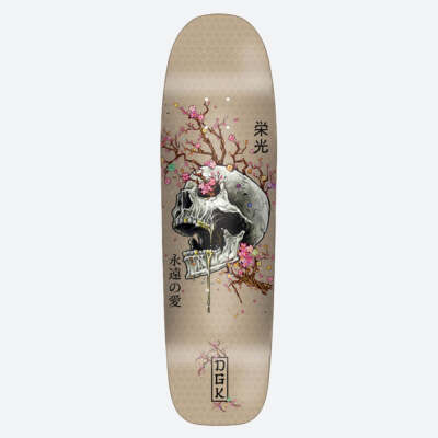 DGK Ancestry 8.75 Cruiser Shaped Skateboard Deck