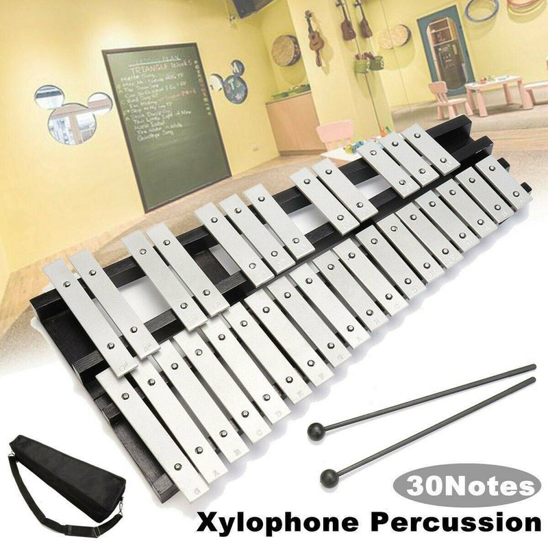 30 Noten Glockenspiel Xylophon Schlaginstrument Faltbar mit Schlägel Tragetasche