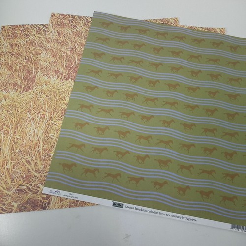 New Disney Scrapbook Paper & Stickers Lot Toy Story Parks Sandylion EK Success