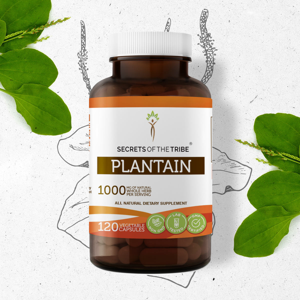 Secrets Of The Tribe Plantain Capsules, 500 mg