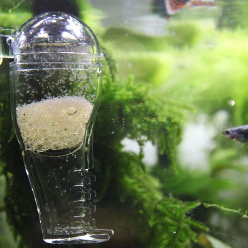 Acrylic Pants Feeder Shrimp Aquarium Fish Tank Aquatic Feeder