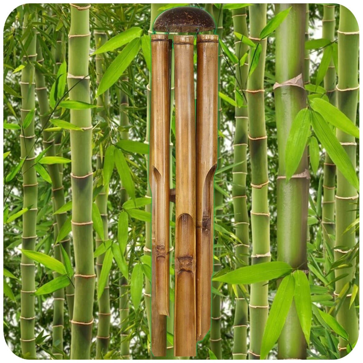 Simandra Scacciapensieri A Forma Di Tartaruga In Bambù, Artigianato Di Bali, Con Tubi Sonori E Guscio Di Cocco, Lunghezza 50 Cm, Testa Mobile