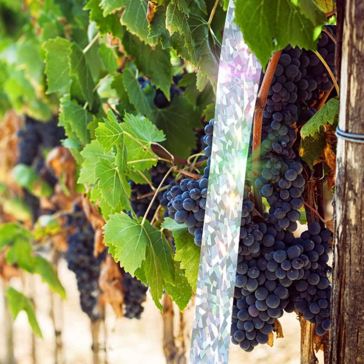 Garden Scare Bird Deterrent Reflective Repellent Tape 150-350FT Woodpecker Geese