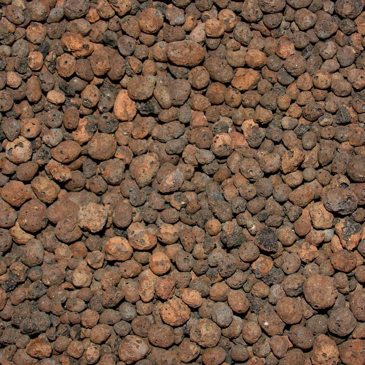 Stones Garden Blähton 4-8mm 5L - Trockenschüttung Für Drainage Und Pflanzenwachstum