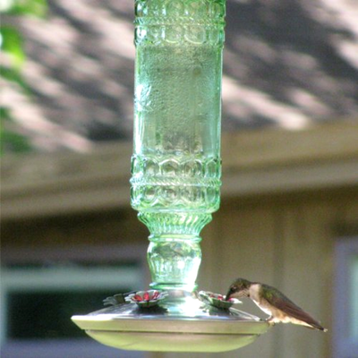 Bottle Bottle Garden 2 Perky Pet 10 Ounce Green Hummingbird Glass