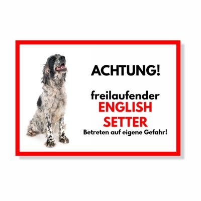 English Setter Freilaufender Hund Dog Schild Spruch Türschild Hundeschild Warnsc