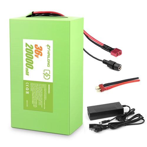 Battery Pack For 1000w Motor