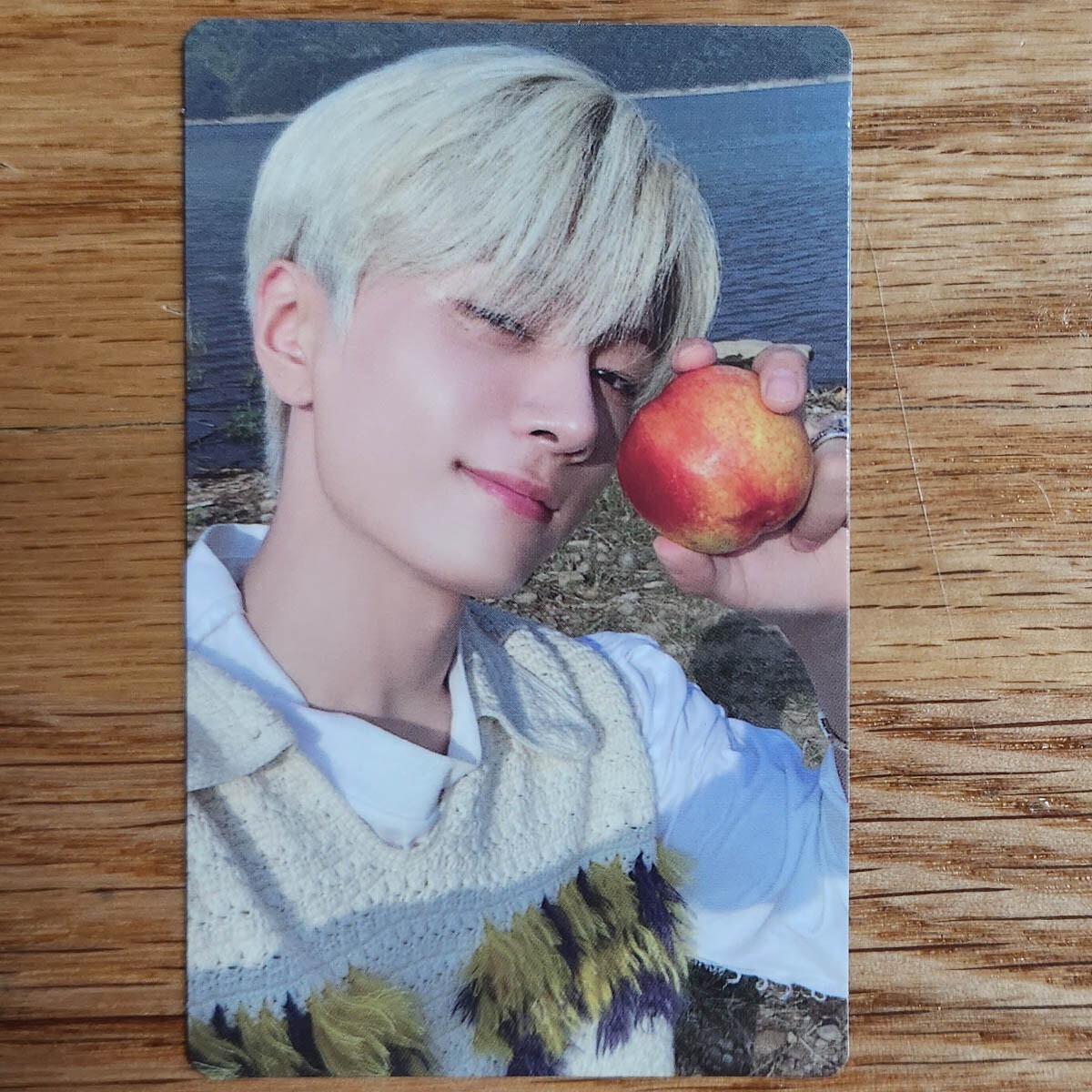 ENHYPEN エンハイプン ジェイ トレカ ORANGE BLOOD 釜山限定 Jay Official Photocard Enhypen Orange Blood Engene Ver