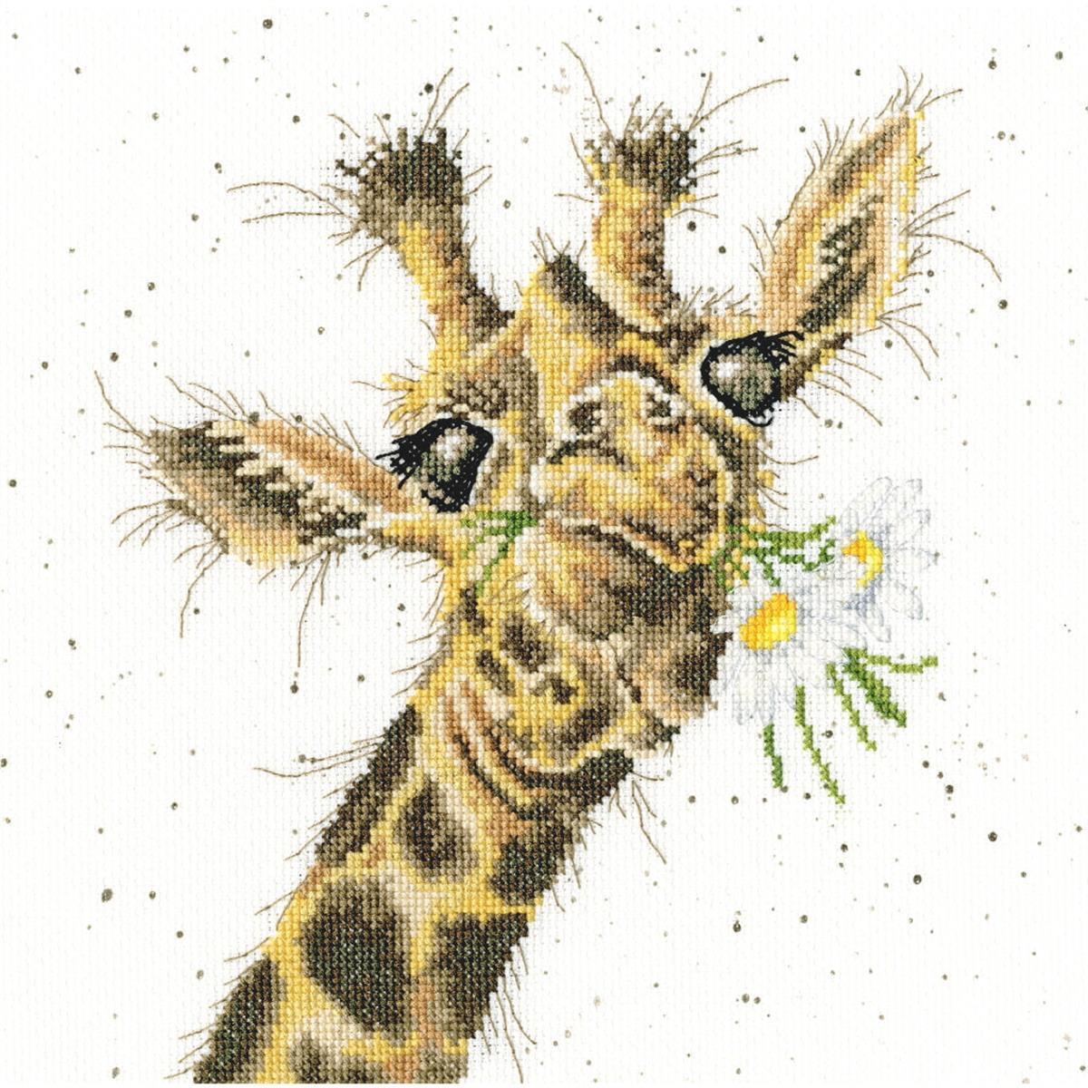 Bothy Threads counted cross stitch kit 