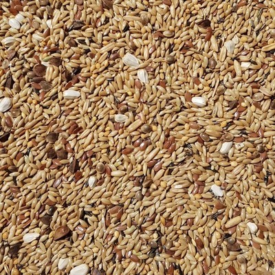 Supravit Kanarien und Waldvogelfutter ohne Rübsen 25kg