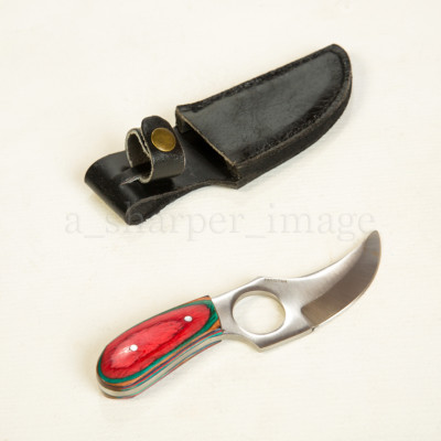 Rugged Curved Blade Skinner Compact 6  Full Tang Self Defense Mini-Knife SHARP