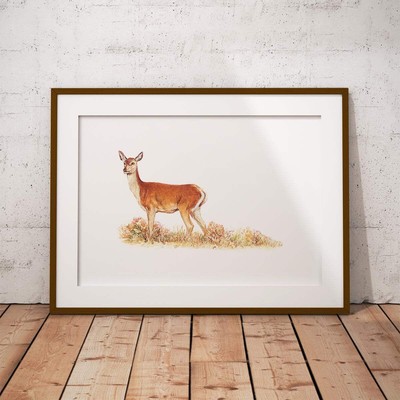 Red Calf Doe Wall Art Print