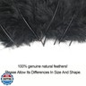 200pcs 4-6 Inches Fluffy Turkey Marabou Black Feathers for Crafts Dreamcatcher Fringe Trim Colored Feathers Accessories Pack