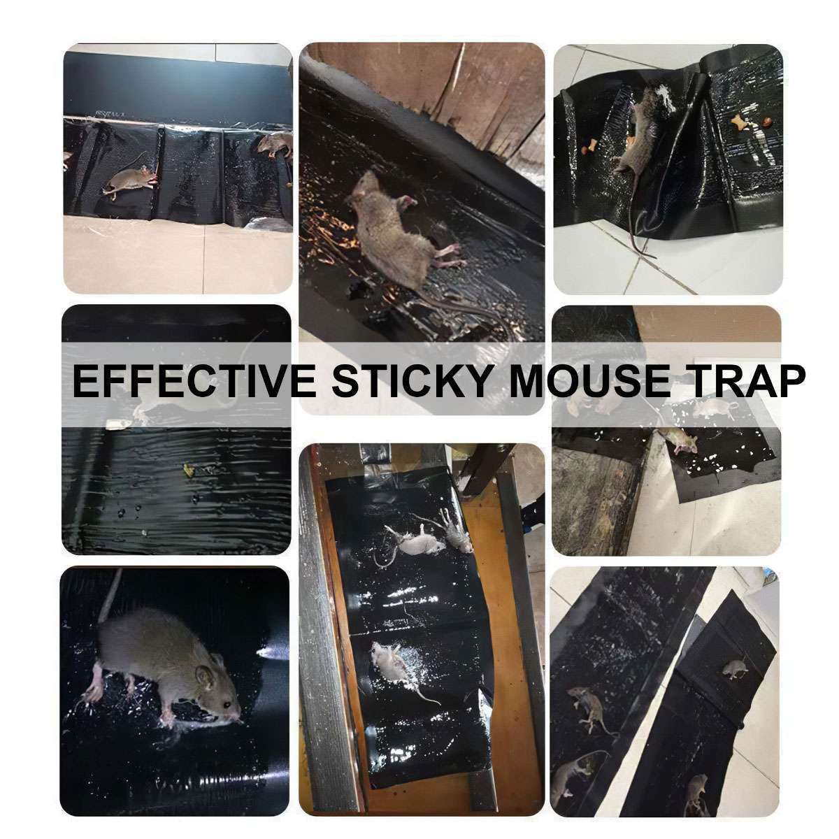 Mouse Trap Rat Rodent Trap Live Catch Cage Glue Board Mice Indoor Sticker Catch