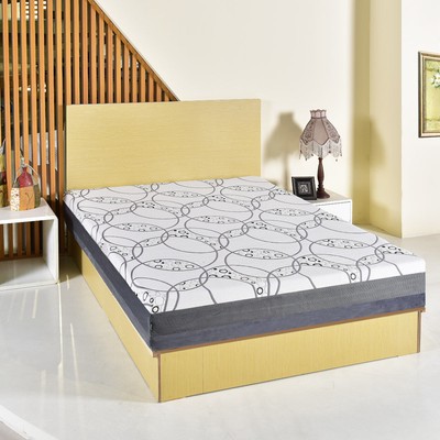 Queen Size Memory Foam Sponge Mattress Zipper Fitted Protector Bed...