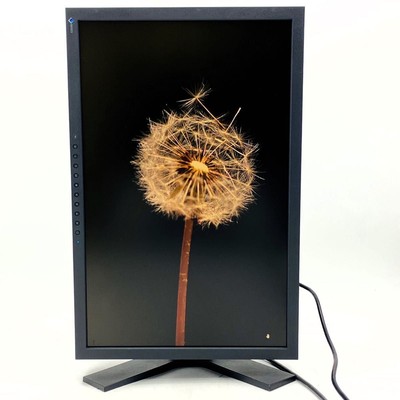 EIZO FlexScan S2242W PC monitor with built-in speaker 22 type