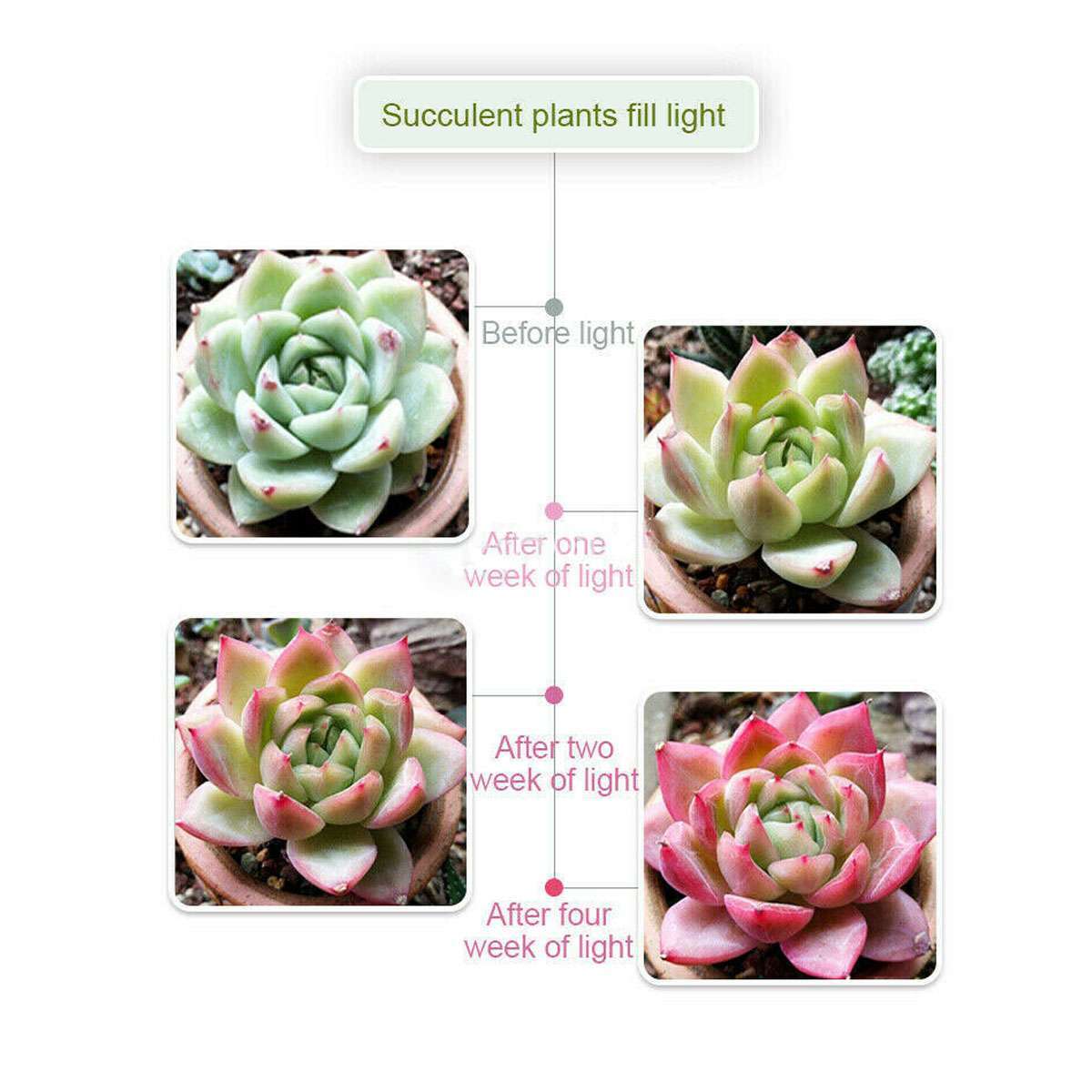 Mini USB Power LED Grow Light Flower Indoor Greenhouse Hydroponic Lamp Gardening