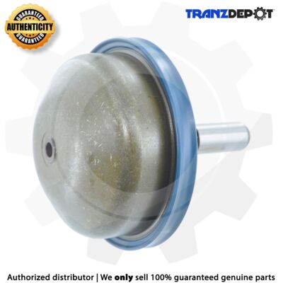 Hi-Per Blue Piston 5R55N 5R55S 5R55W Overdrive Servo 1999-Up (#56529J)