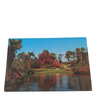 Postcard Blossom Time Florida's Cypress Gardens Chrome Posted