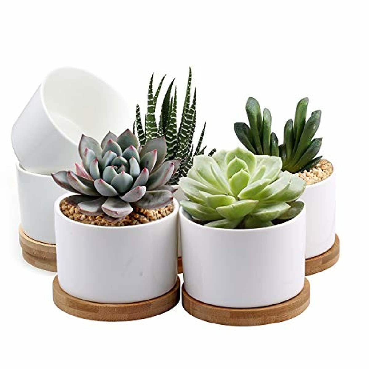 Succulent Pots White Mini 3.15