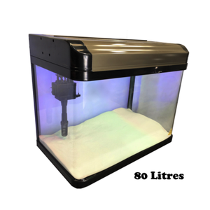 80L Glass Fish Tank Aquarium NEON 80 Litre w/ Light ...