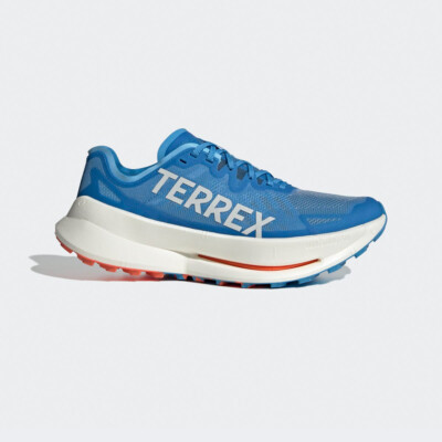 кроссовки adidas Terrex Agravic синие Ih0979