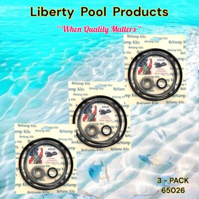 CF/CFA/CF6 SERIES REPAIR KIT  - POOLTEK 65026 FITS STA-RITE 3-PACK FOR  GO-KIT26