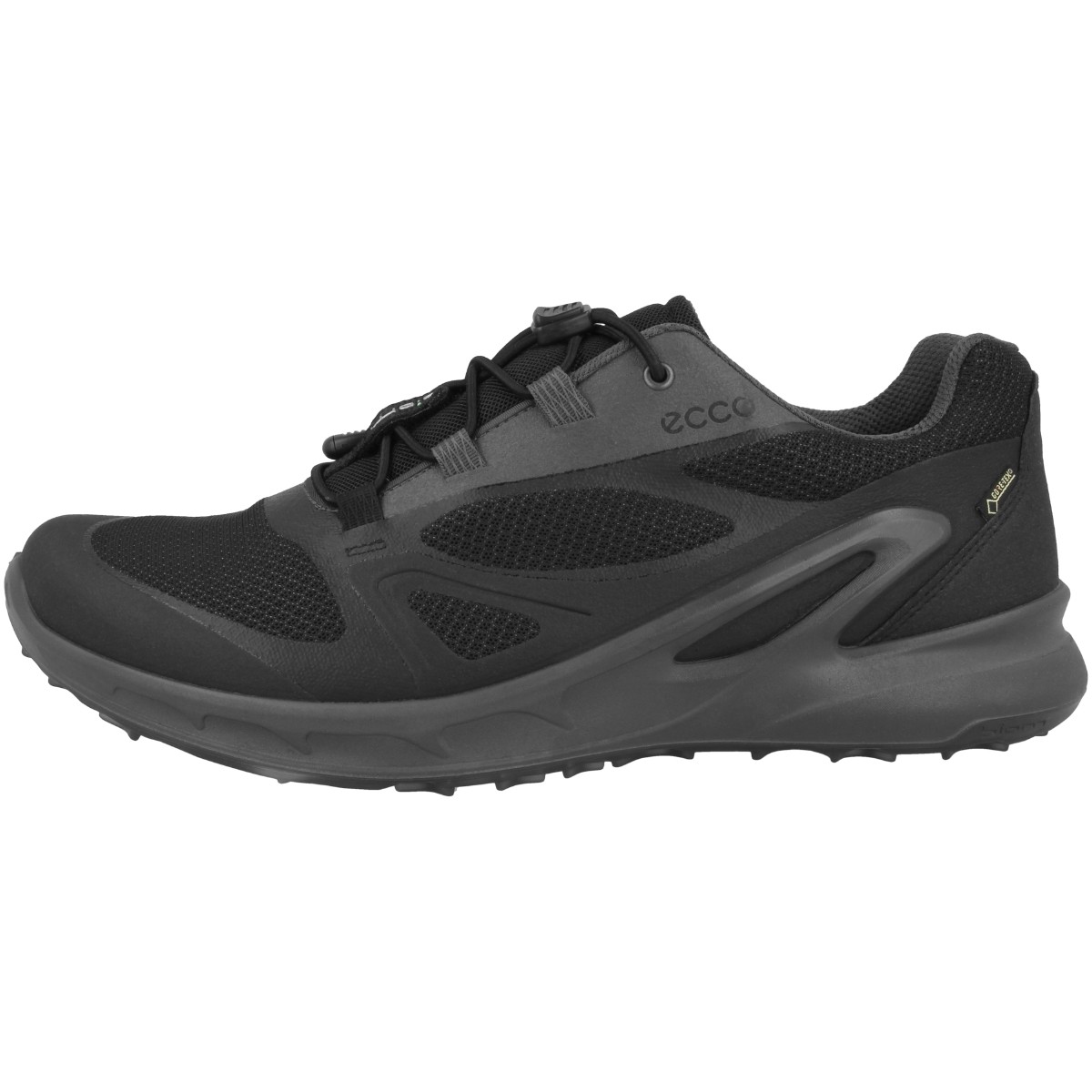ecco mens biom omniquest gtx