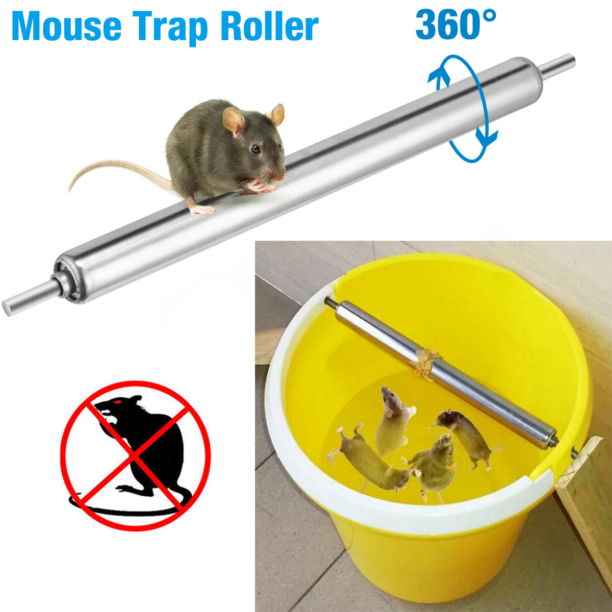 Rolling mouse. Rolling mouse